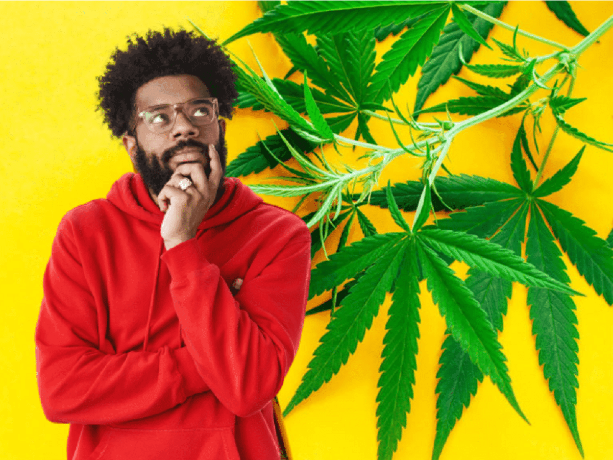 Mito ou verdade: Maconha mata neurônios?  