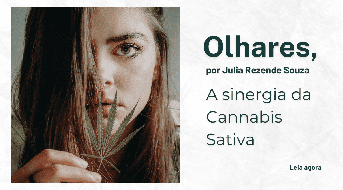 O que a cannabis pode oferecer para o mundo