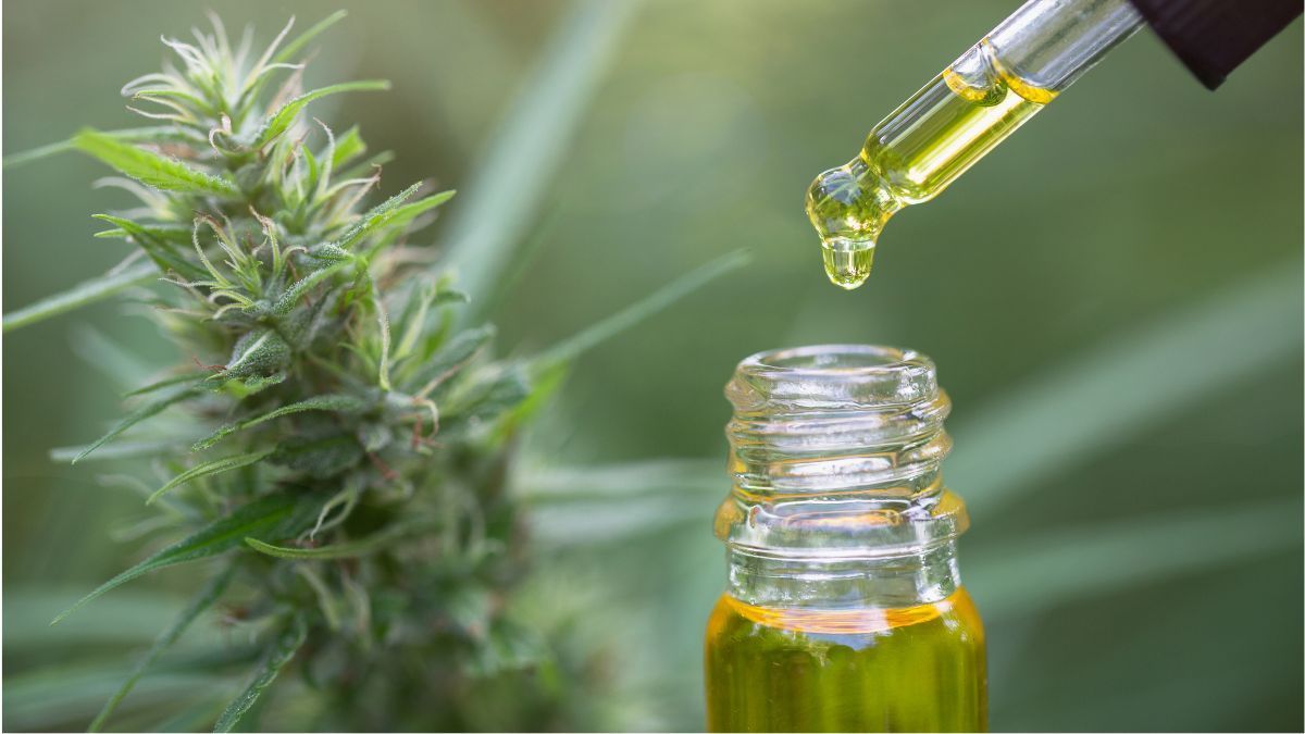 Farmácia recebe aval judicial para manipular e vender produtos de cannabis medicinal