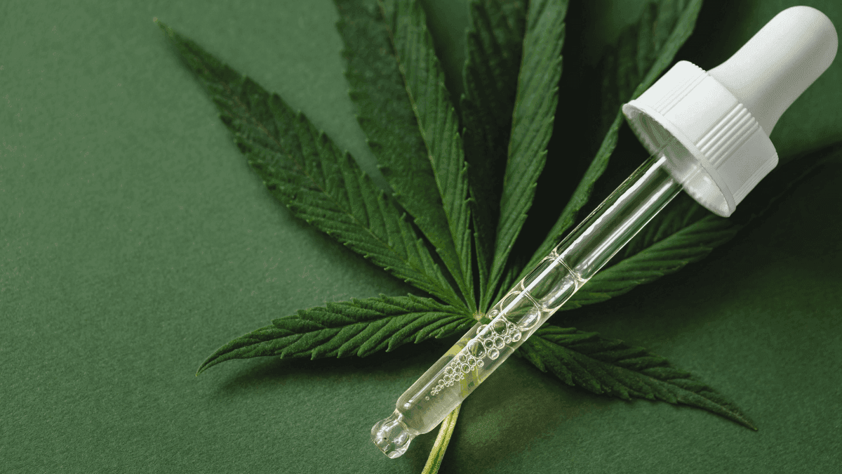 República Checa amplia prescrição de cannabis medicinal à doenças crônicas