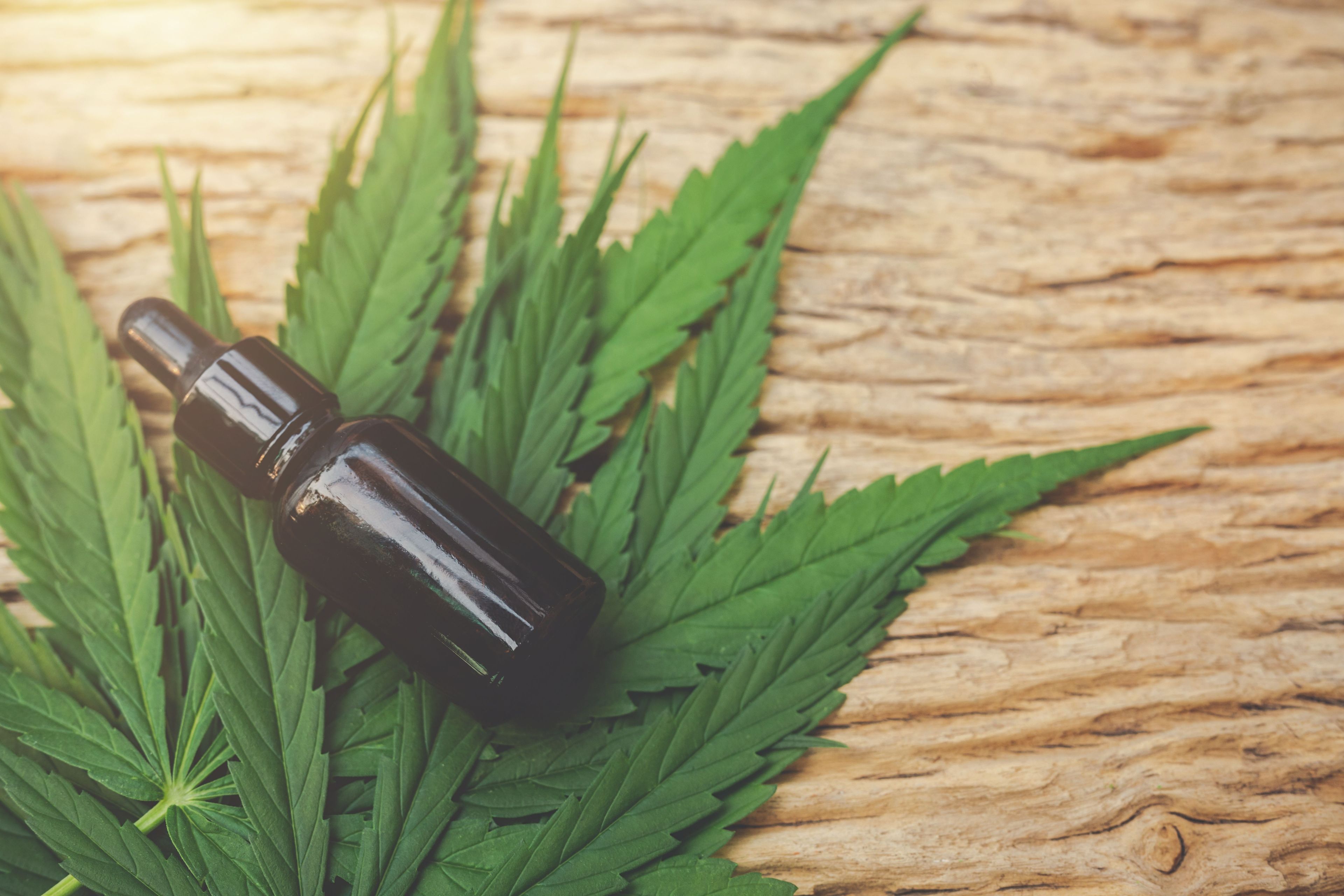 Clubes de cannabis crescem na África do Sul em meio a lacunas legais