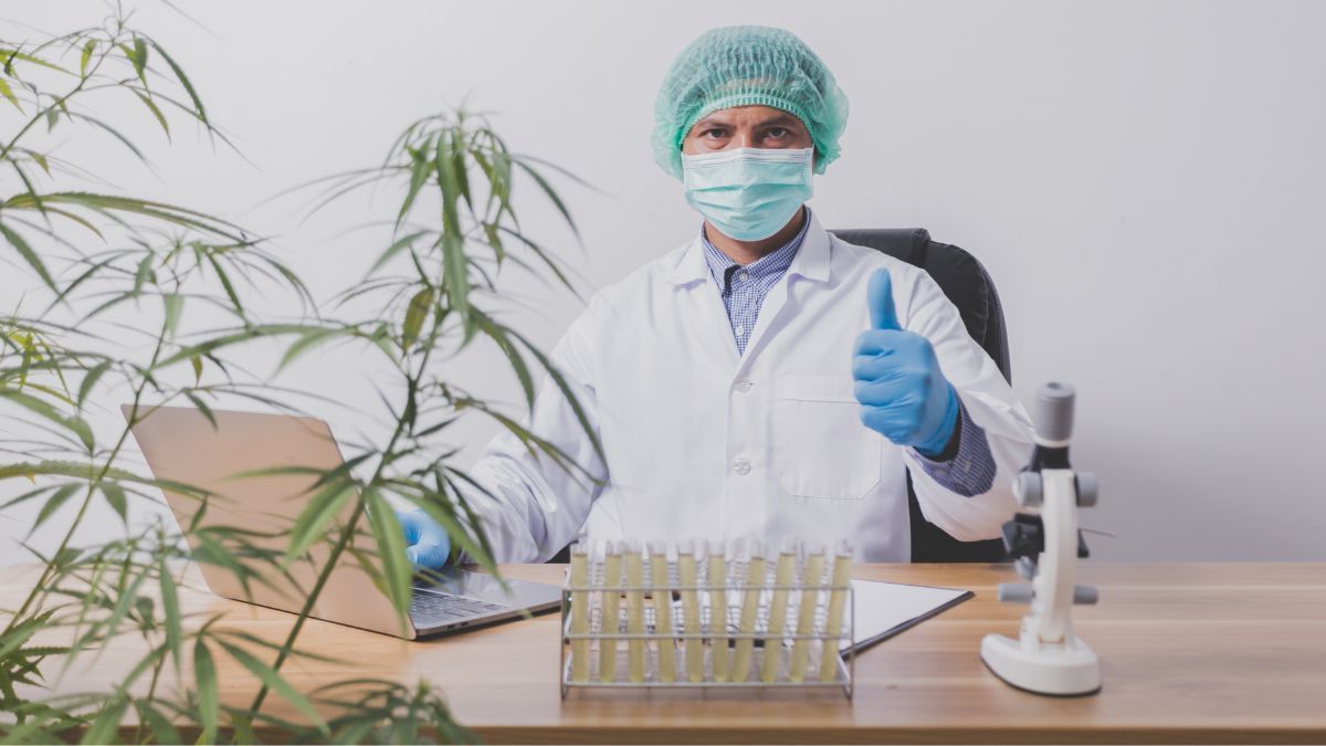 Brasil é destaque em relatório global com casos de sucesso no uso de cannabis contra a dor