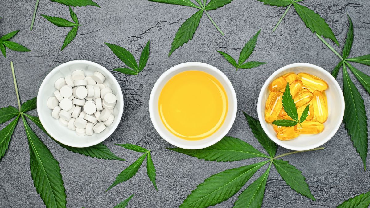 Negócios europeus de cannabis começam com força total em 2025