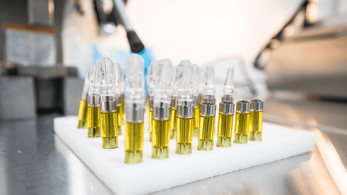  Entre mitos e verdades, o THC pede menos julgamento e mais atenção
