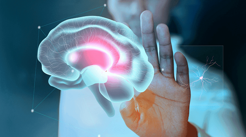 Uma breve revisão sobre a epilepsia