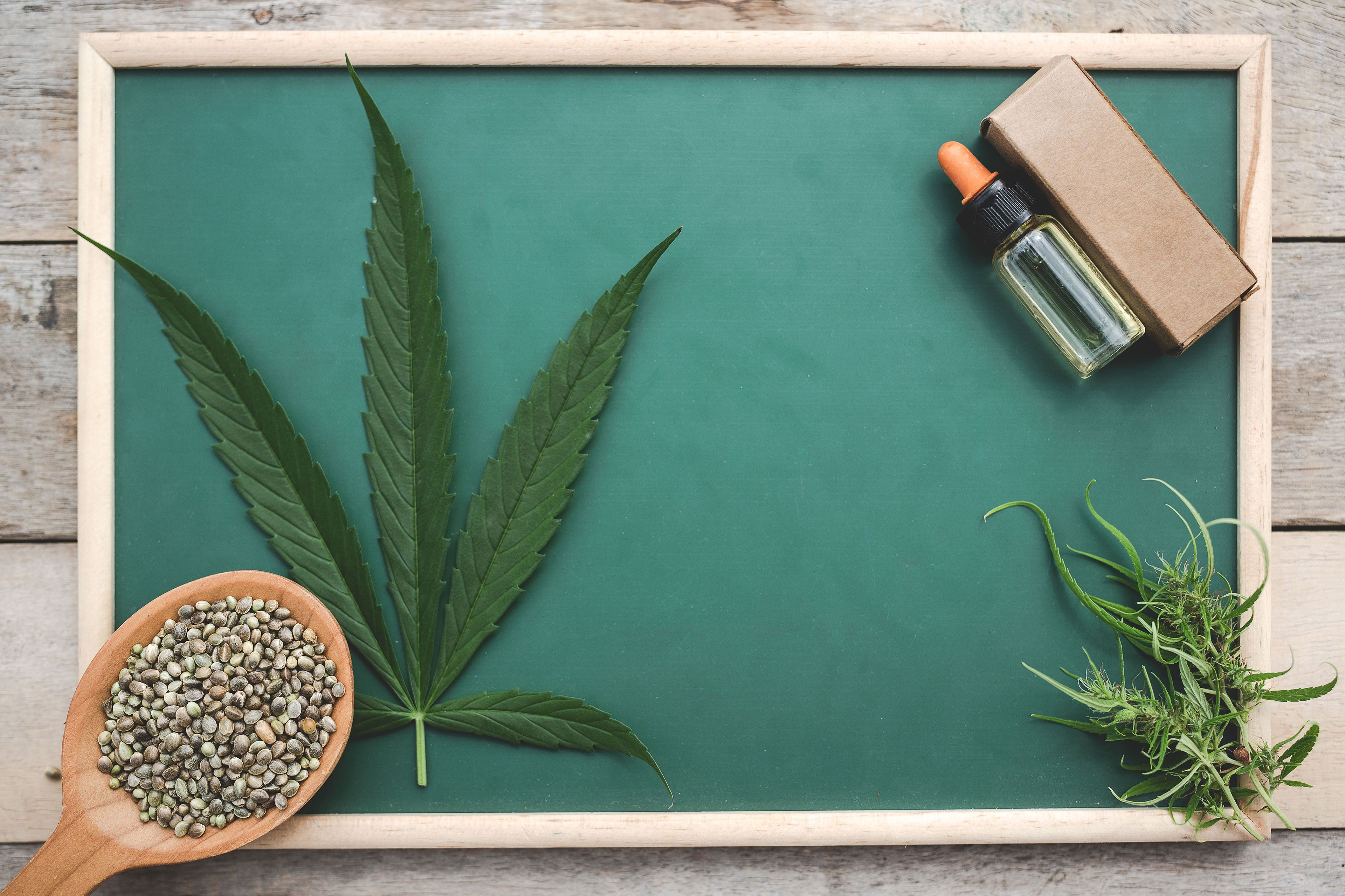 CRPs do sul do Brasil lançam pesquisa sobre uso terapêutico de maconha e psicodélicos