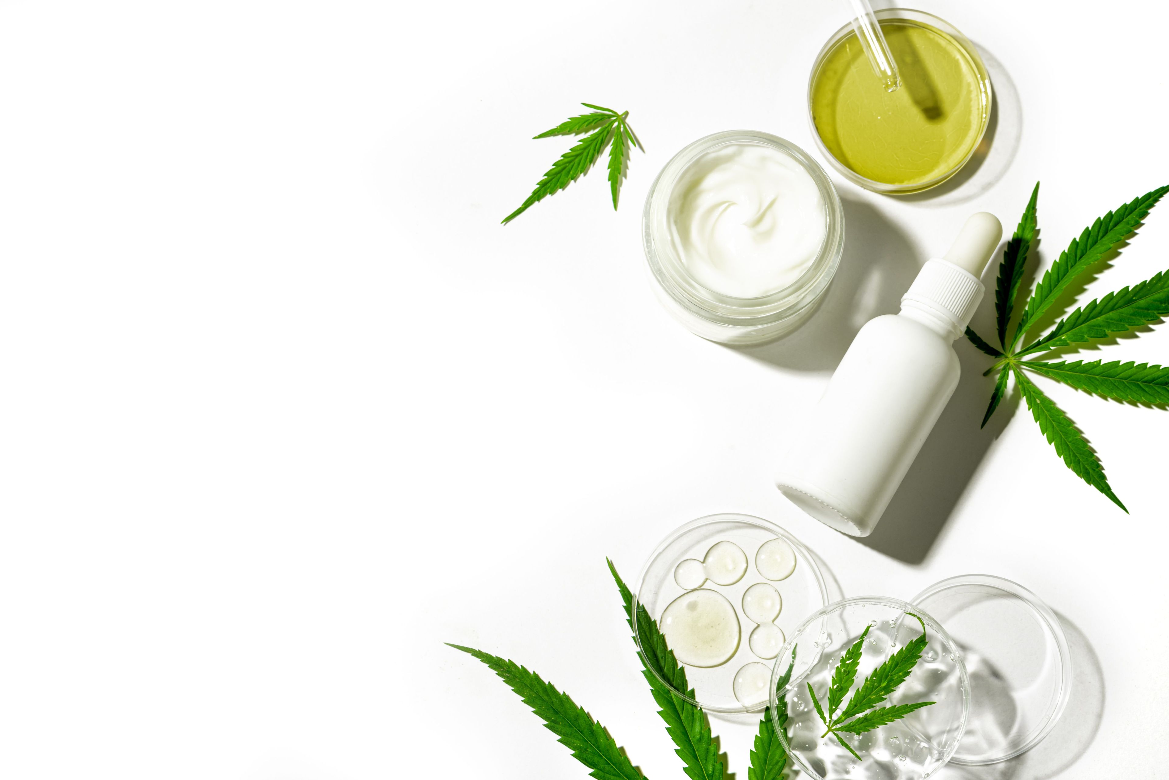 Cosméticos à a base de cannabis: uma revolução na saúde e beleza