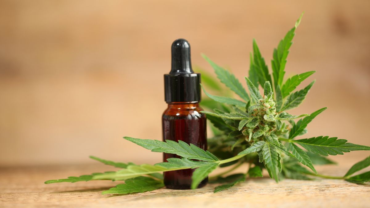 Anvisa aprova novo produto farmacêutico à base de cannabis no Brasil