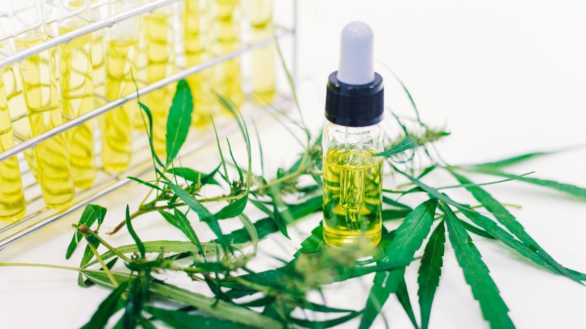 Prefeitura de São Joaquim de Bicas abre licitação para compra de medicamento à base de cannabis