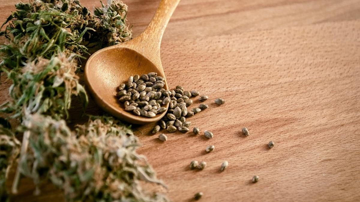 Sementes de cannabis caem no mar e atrasam missão rumo a Marte