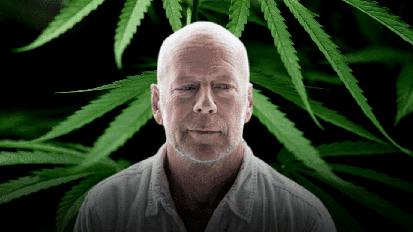 <strong>Como a cannabis pode ajudar Bruce Willis</strong>
