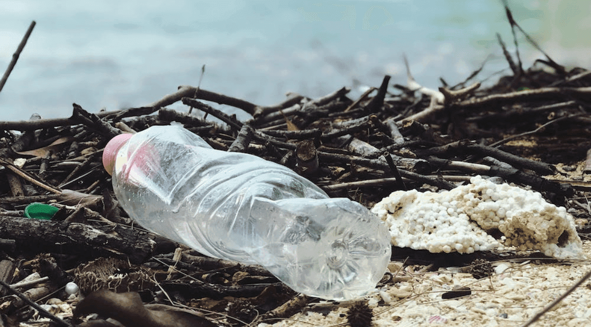 <strong>Ecologia: ONU propõe medidas para reduzir a poluição plástica em 80% até 2040</strong>