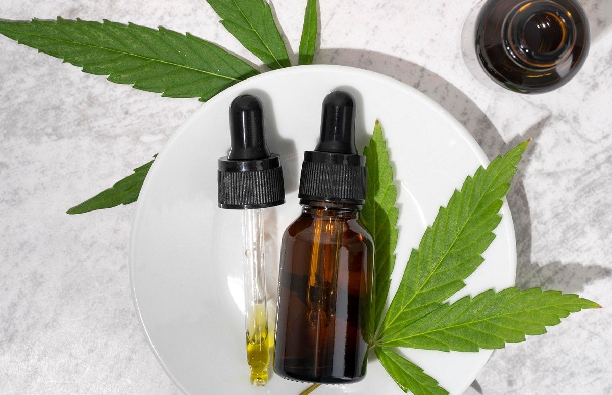 <strong>Crescer e desenvolver: mercado da cannabis não para</strong>