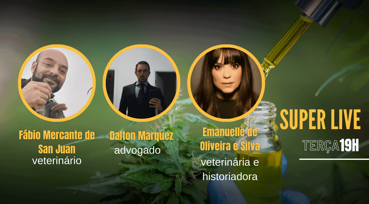 <strong>Uso veterinário da cannabis: o que é ou não permitido na hora de tratar seu animal com a planta?</strong>