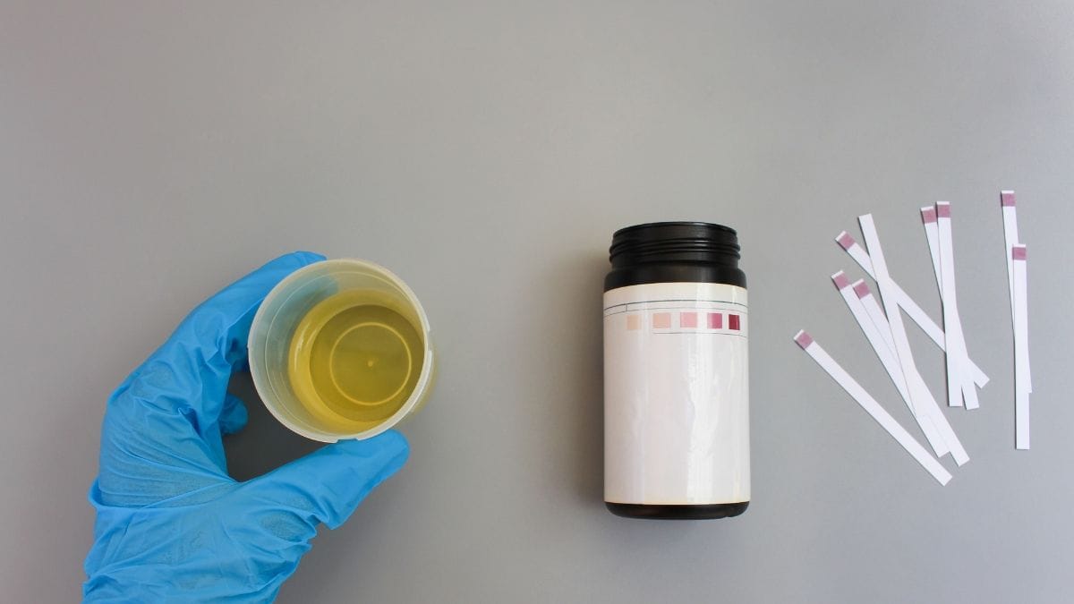 África do Sul eleva limite de THC no cânhamo industrial para 2%