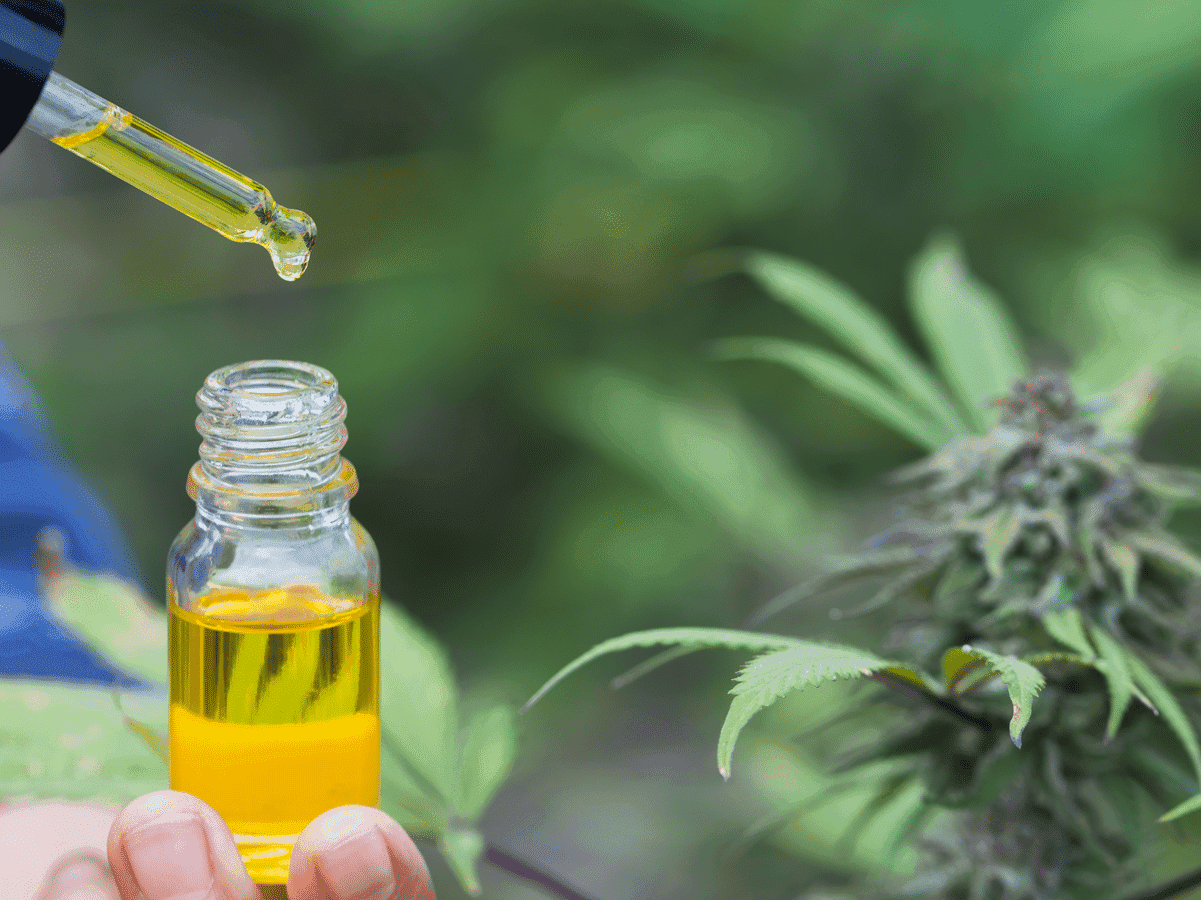Imagem do editorial: Farmácia recebe autorização judicial para comercializar remédios à base de cannabis