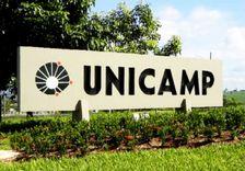 Imagem do editorial: Unicamp estabelece padrão de qualidade para óleos de cannabis domésticos