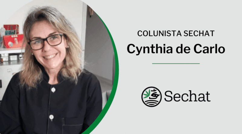 A cannabis na odontologia e seus avanços nos últimos meses