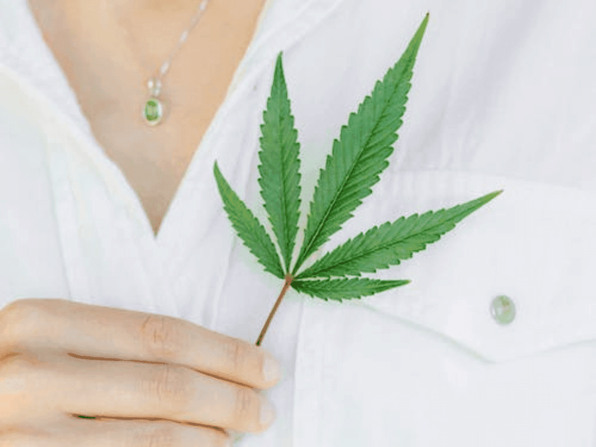 A conscientização do uso do cânhamo é alta, aponta estudo