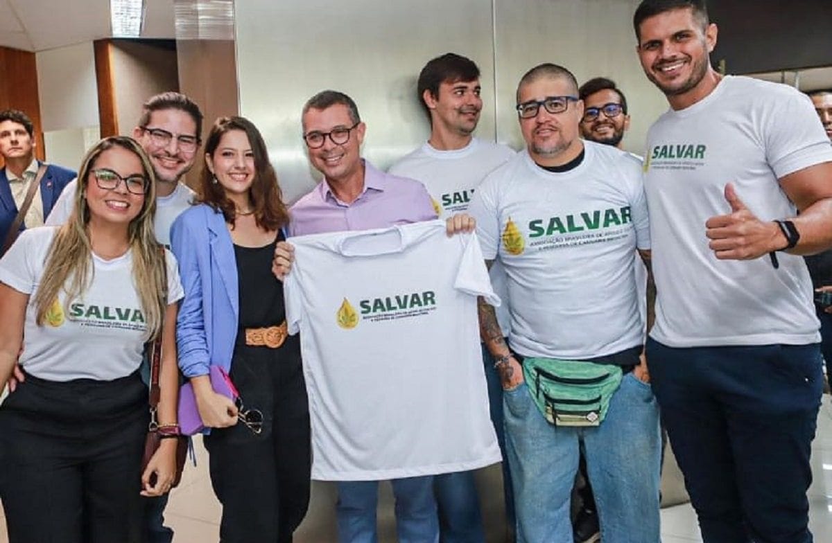 Acesso à flor de cannabis é liberada em decisão judicial inédita