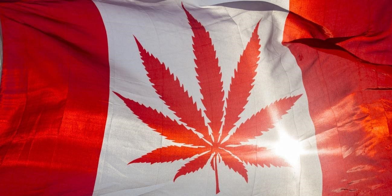 Altas taxas federais de cannabis elevam perdas financeiras e de empregos no Canadá