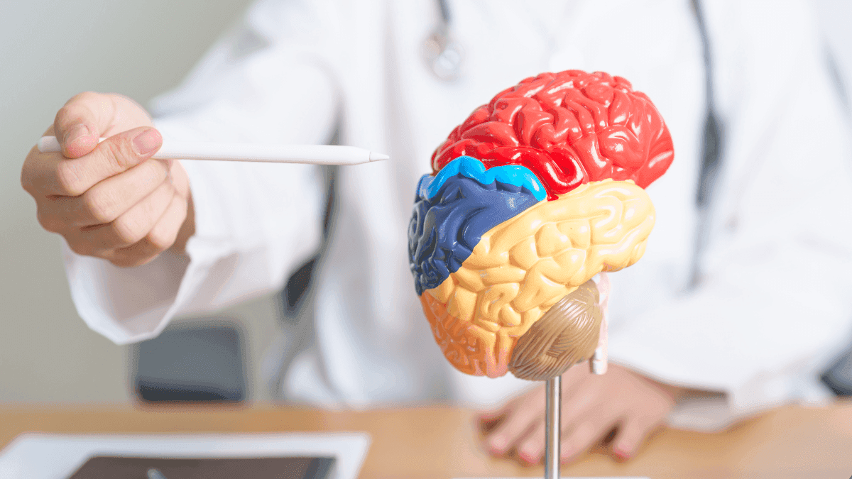 Cannabis e Alzheimer: combinação CBD e THC se mostra mais eficaz do que o uso isolado de cada composto