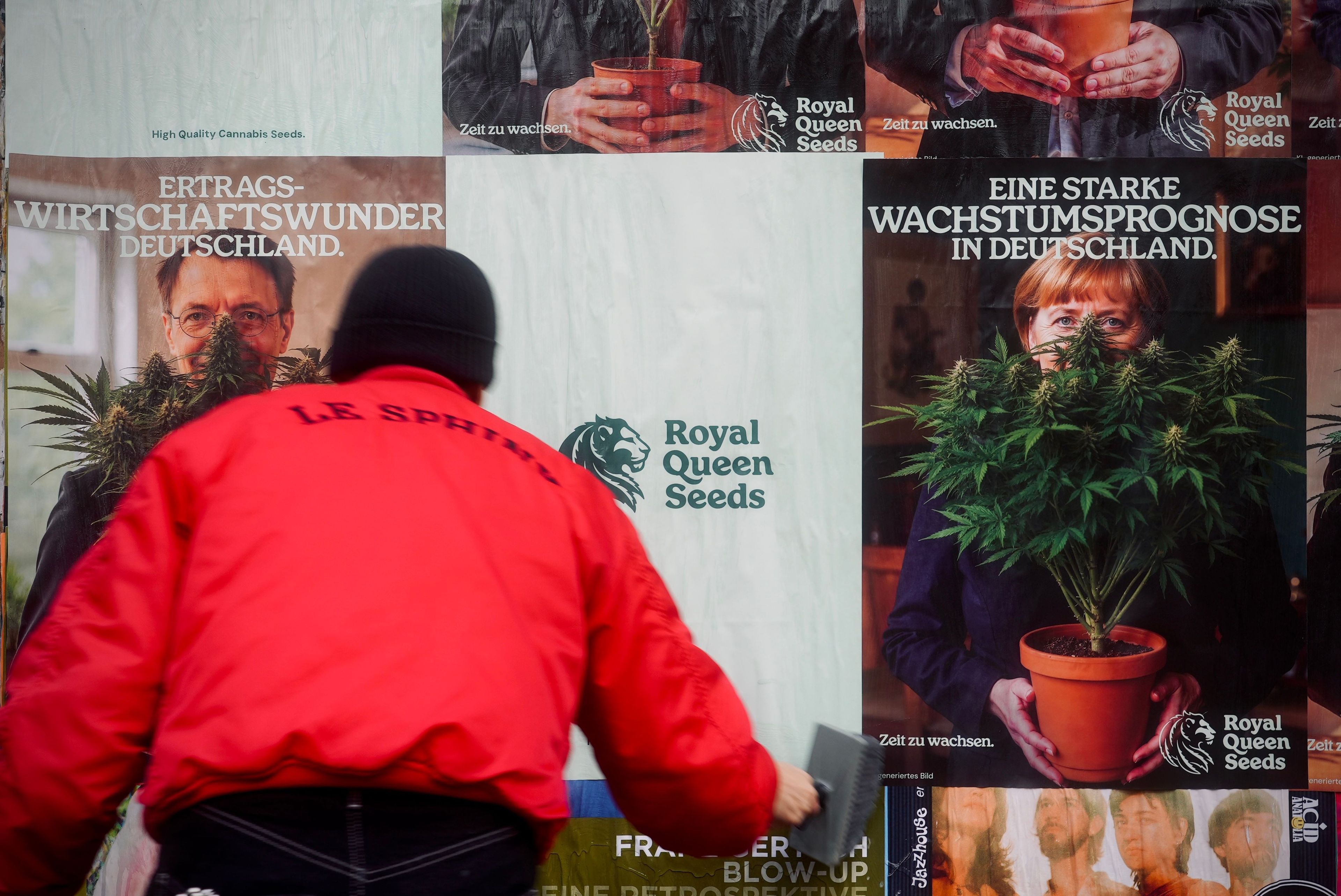 51% dos pais alemães são favoráveis ao cultivo domestico, um ano após a legalização da cannabis