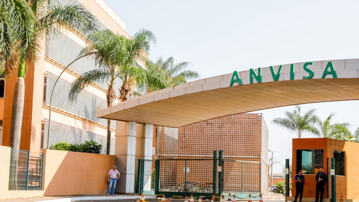 Anvisa pode votar regras para cultivo nacional e controle da cannabis nesta quarta-feira
