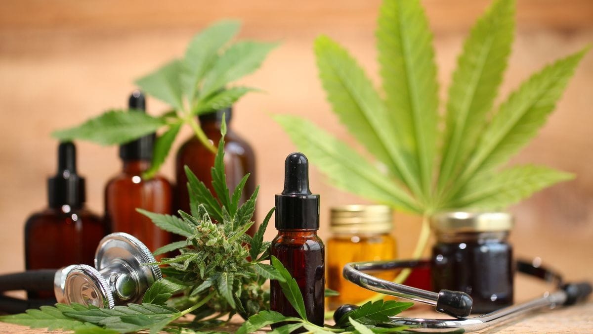 Anvisa proíbe produtos de cannabis de empresa catarinense por falta de autorização