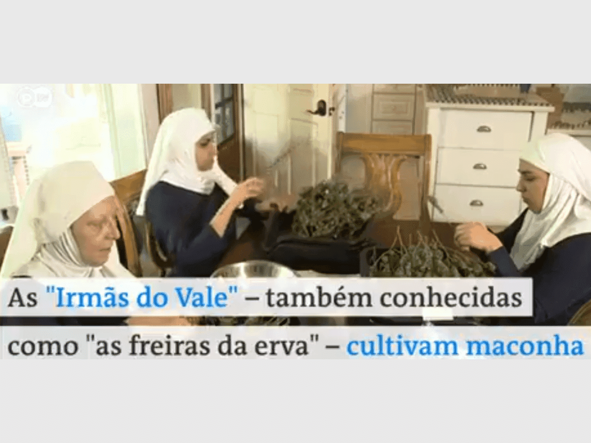 As "freiras" da erva no México buscam desmistificar a imagem da cannabis associada à narcotraficantes