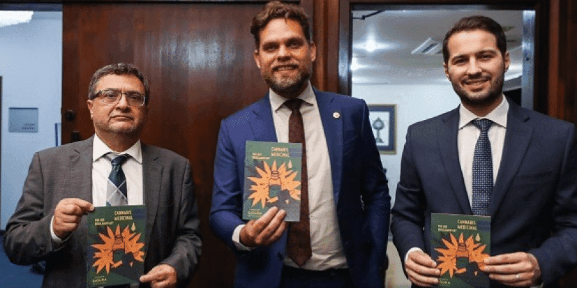 Assembleia paranaense vota hoje para a utilização da cannabis medicinal no Estado