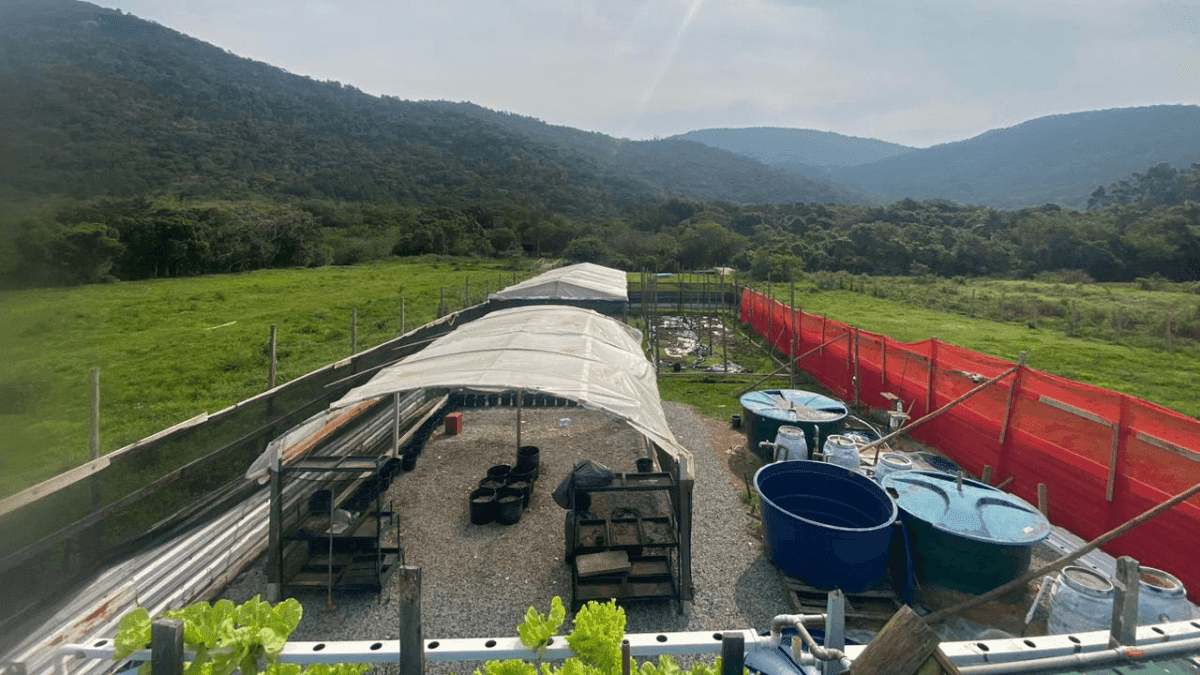 Como a Cannabis do Bem venceu a insegurança jurídica e garantiu o primeiro cultivo orgânico autorizado em Florianópolis