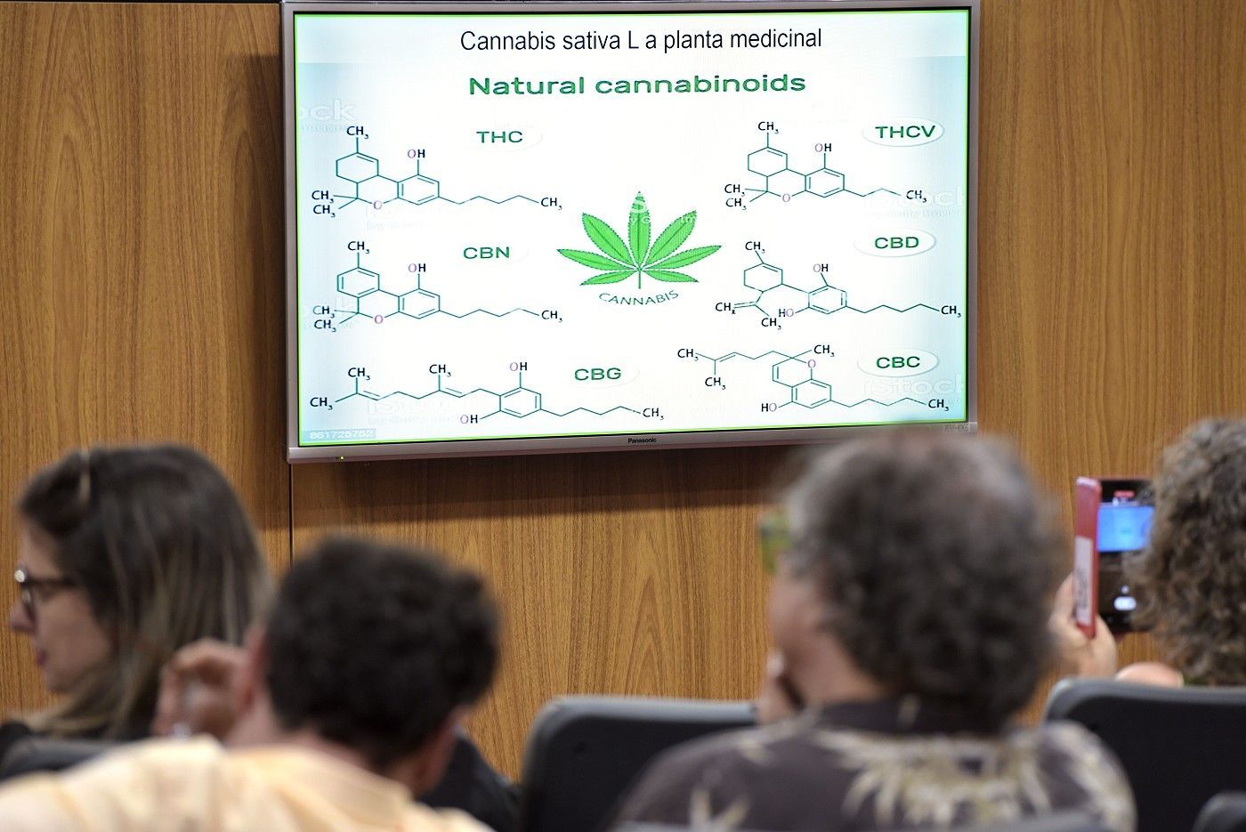 Minas Gerais discute regulamentação da cannabis medicinal em audiência pública
