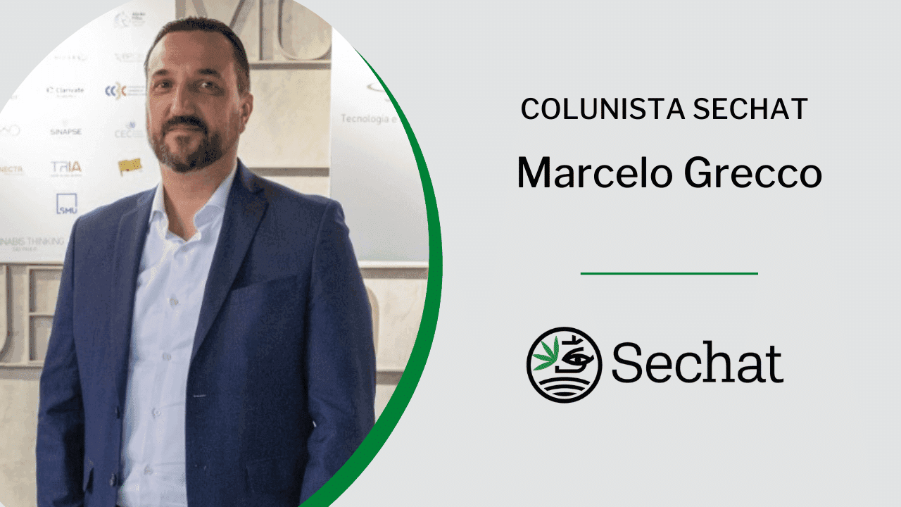 Autocultivo de cannabis não vai resolver o problema da coletividade