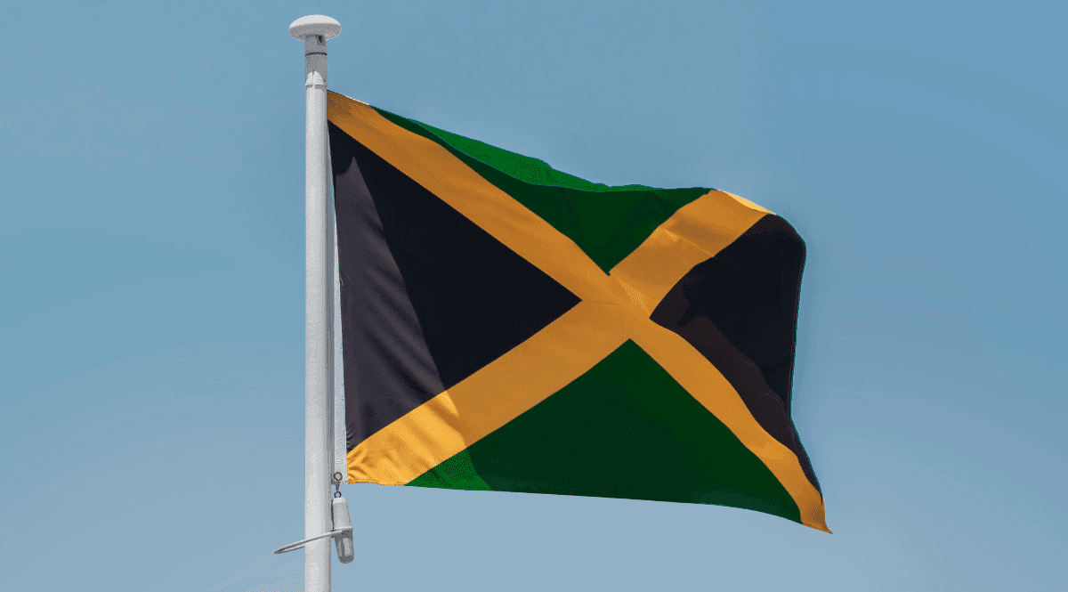 Autoridades jamaicanas procuram apoiar pequenos produtores de cannabis para a economia