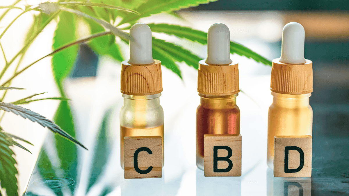 Estudo reforça eficácia do CBD contra a ansiedade e psiquiatra destaca avanços e desafios no acesso no Brasil