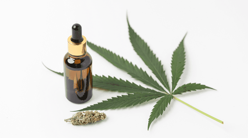 CFM abre consulta pública sobre o uso compassivo do canabidiol