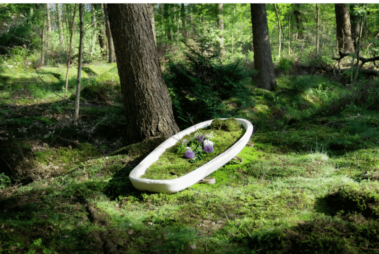 Caixão biodegradável feito de cogumelos é alternativa sustentável