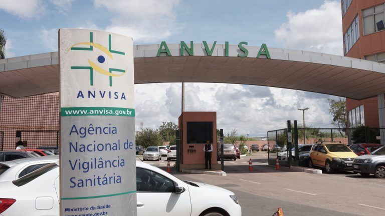 Anvisa vota minuta sobre regulamentação do cultivo de cannabis, nesta quarta-feira (13)