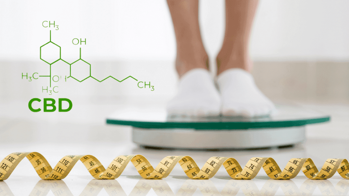 Canabidiol pode ser aliado na luta contra a balança