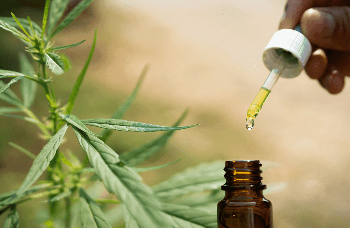 Medicinal Cannabis: Alternative for Treating Depression and Anxiety