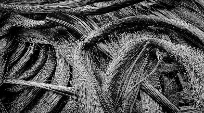 Cânhamo industrial e o potencial de desenvolvimento no Brasil