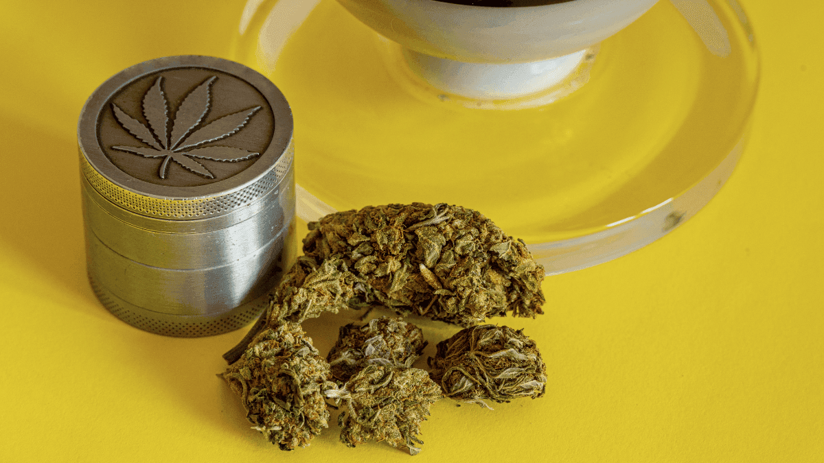 Riesgos del uso adulto: ¿es posible tener una sobredosis o morir a causa de la cannabis?