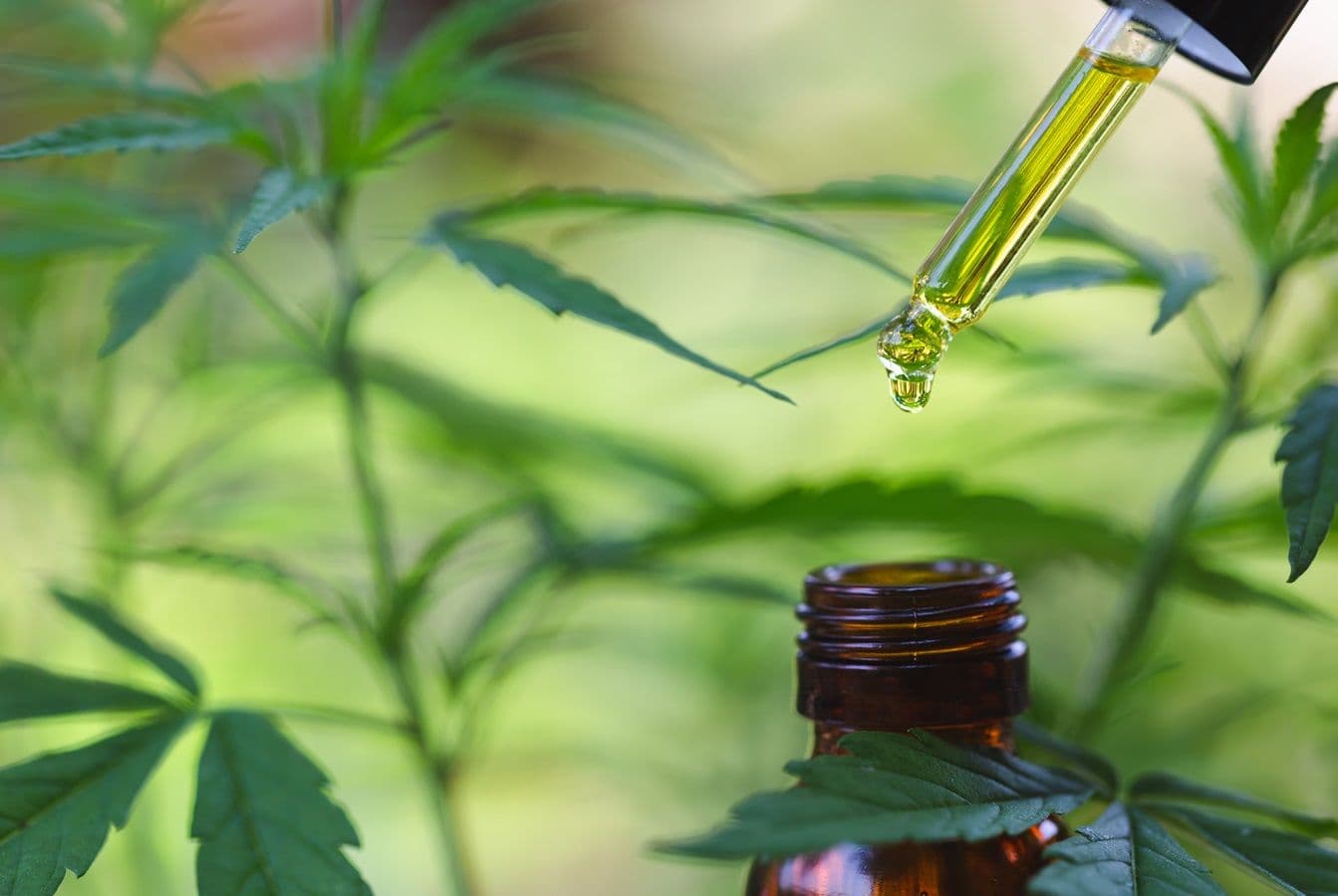 Jovem com epilepsia noturna encontra alívio com tratamento à base de cannabis