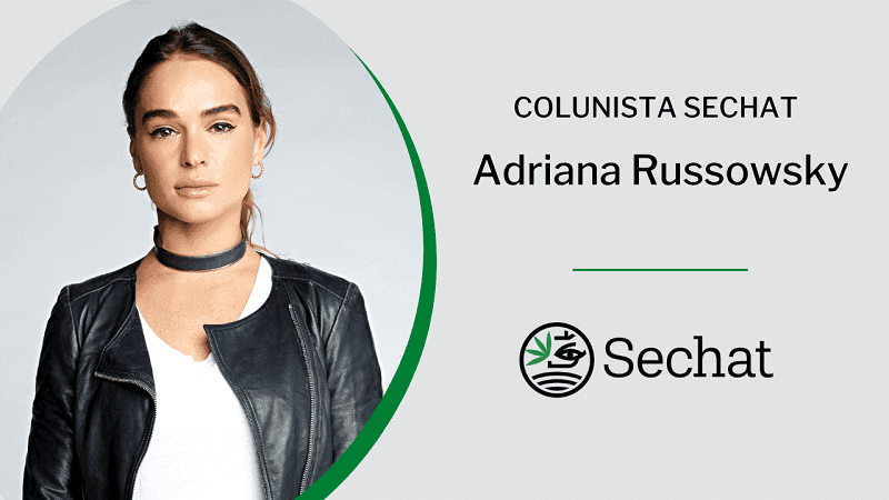 Cannabis, além da medicina e uso recreativo: uma planta