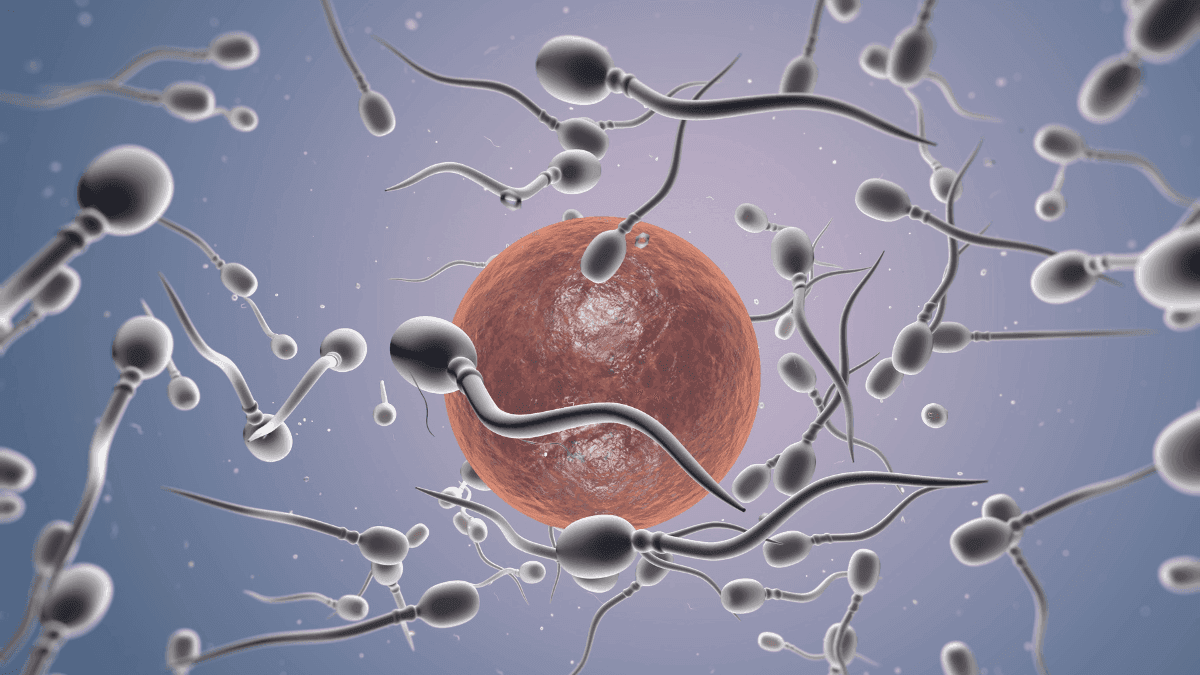 Pode usar cannabis e ser pai? Veja o que a ciência diz