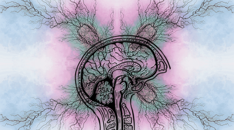 Cannabis e Síndrome de Tourette, entenda essa relação