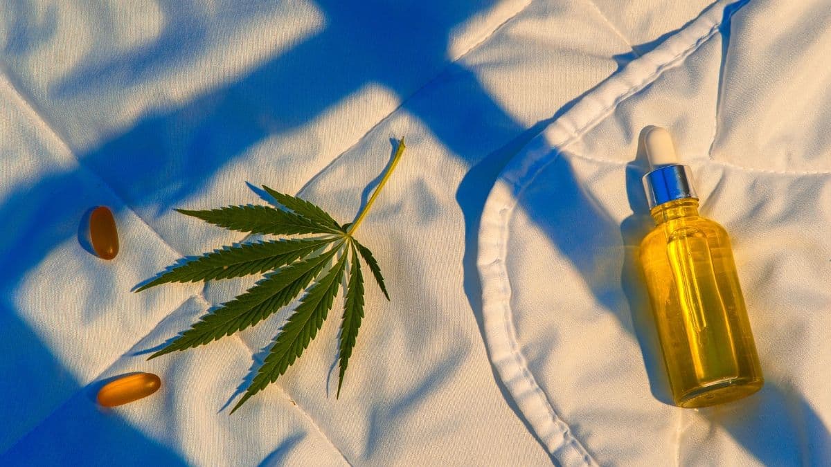 Canabinol (CBN): Conoce el "cannabinoide del sueño" y su potencial terapéutico