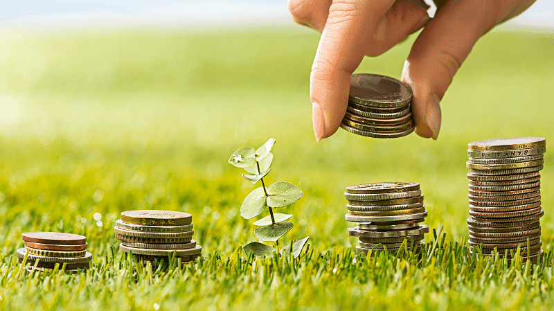 Cannabis legal é a 6ª maior safra comercial dos EUA