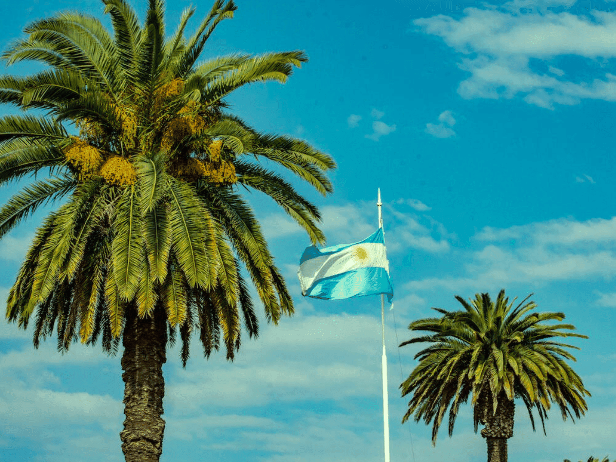 Cannabis na Argentina: veja o novo “superalimento” autorizado pelo governo